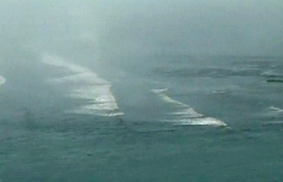 Tsunami dalgaları sahilleri vurdu - 1