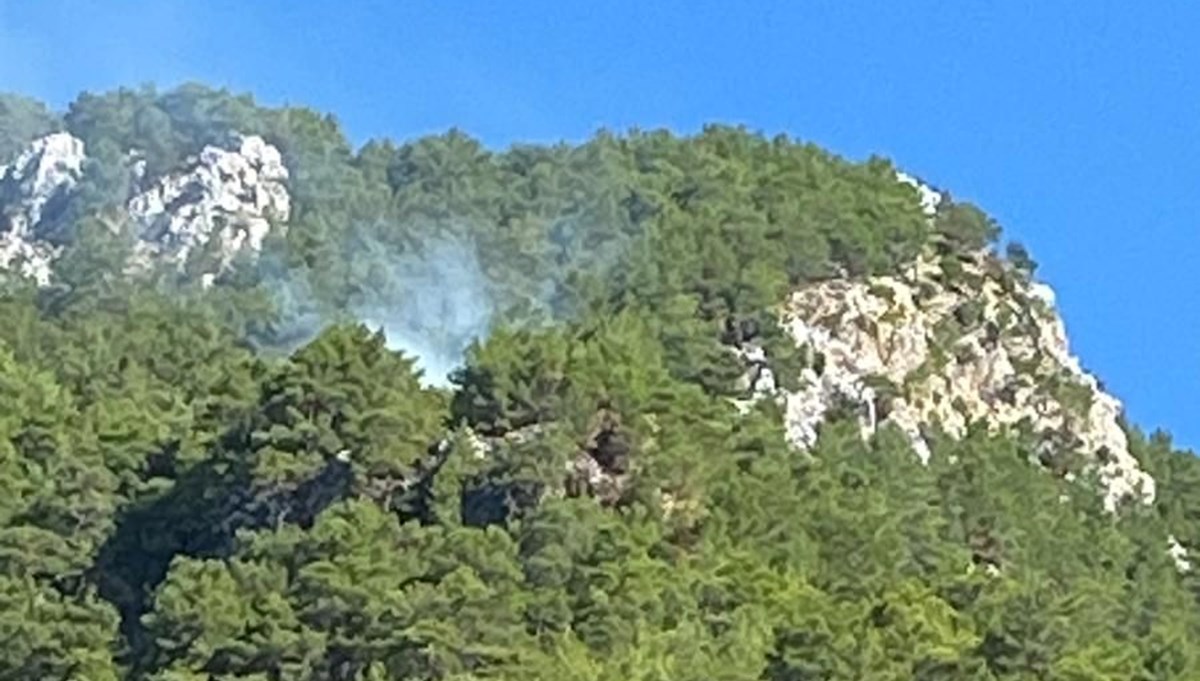 Muğla Köyceğiz’de orman yangını Muğla Köyceğiz’de orman yangını