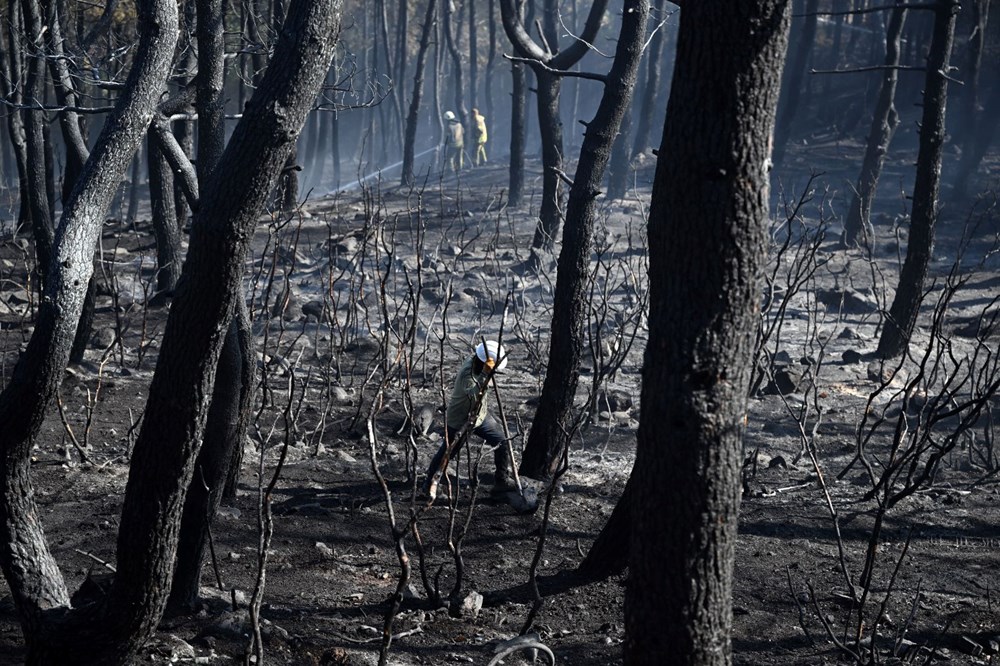 İstanbul Maltepe'de orman yangını - 16