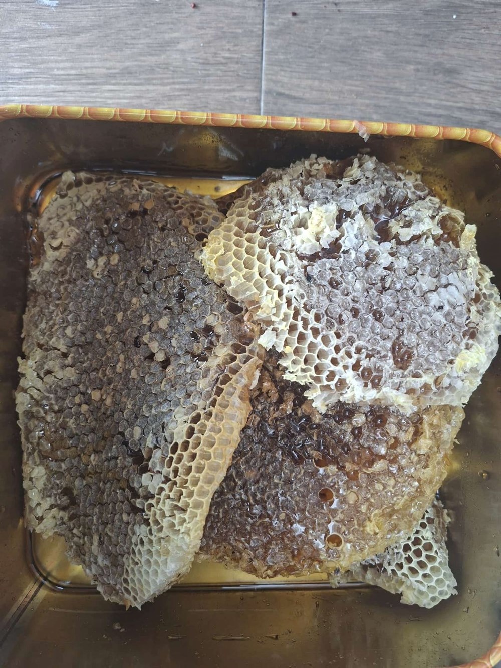 Kilosu 3 bin 500 TL: Geleneksel y�ntemle hasat ba�lad�