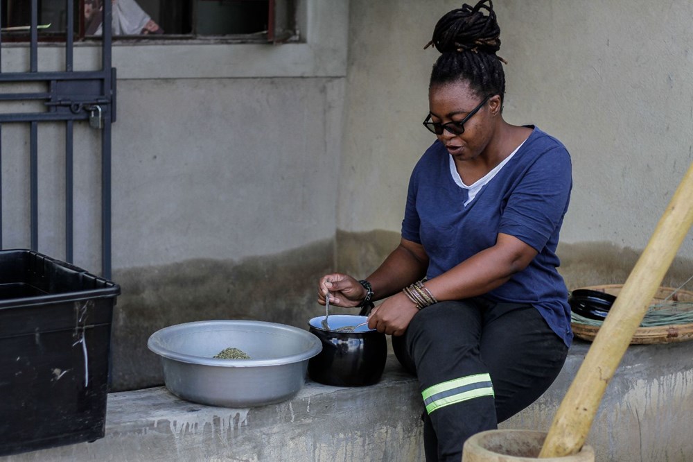 Zumbani, the plant the African country hopes for: If we didn't use it, we would be dead - 17
