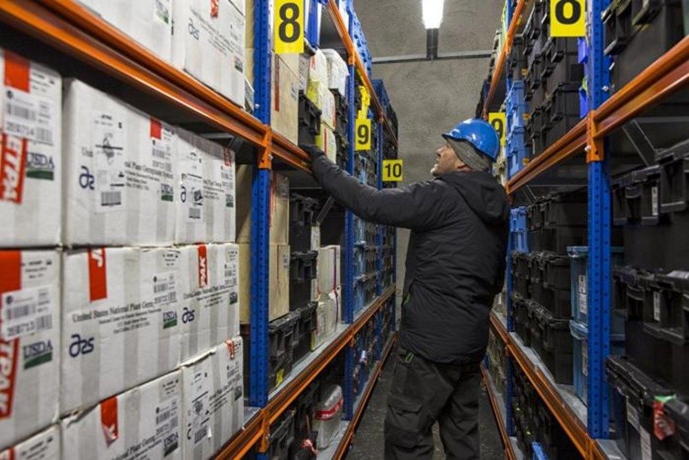 21 TB'lık açık kaynaklı kod 'insanlığın son umudu'na taşındı - 3