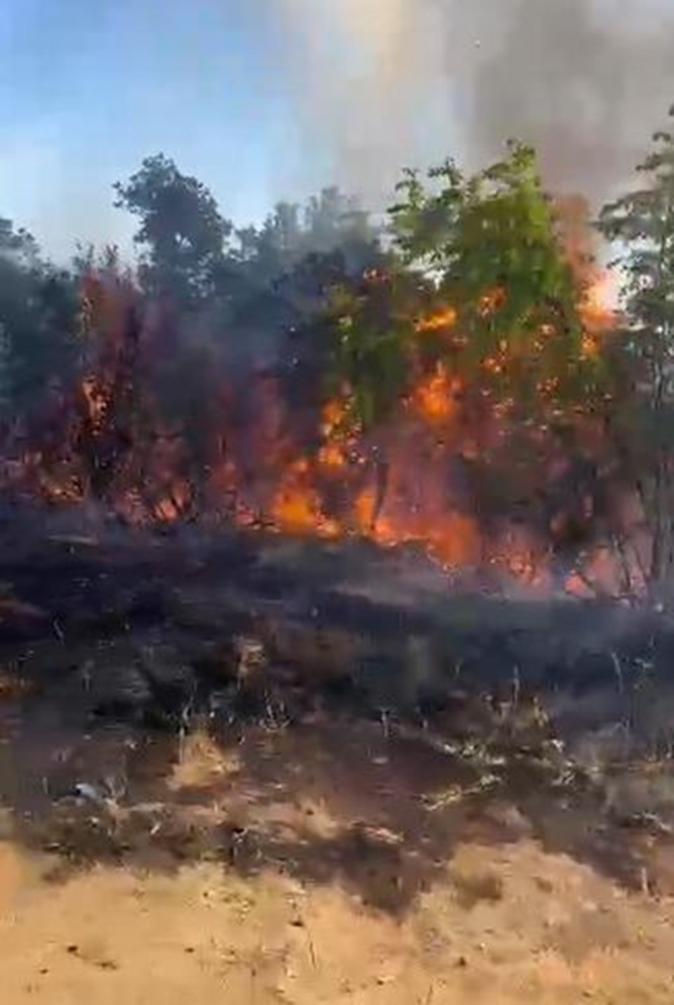 Piknik yaparken orman yangınına neden olan 3 kişi tutuklandı - 1