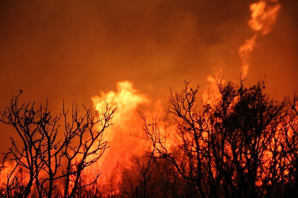 Manisa'da orman yangını: Alevler kısmen kontrol altına alındı - 1