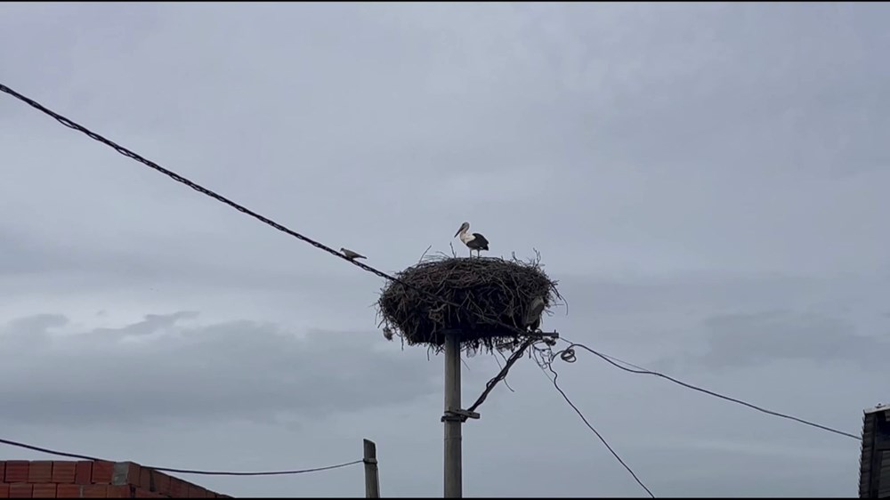 Yaren Gitti, Bilal Geldi: Yusuf Amca'nın Yeni Leyleği 73 jKqfovdblUGK9hYXwT2GXw
