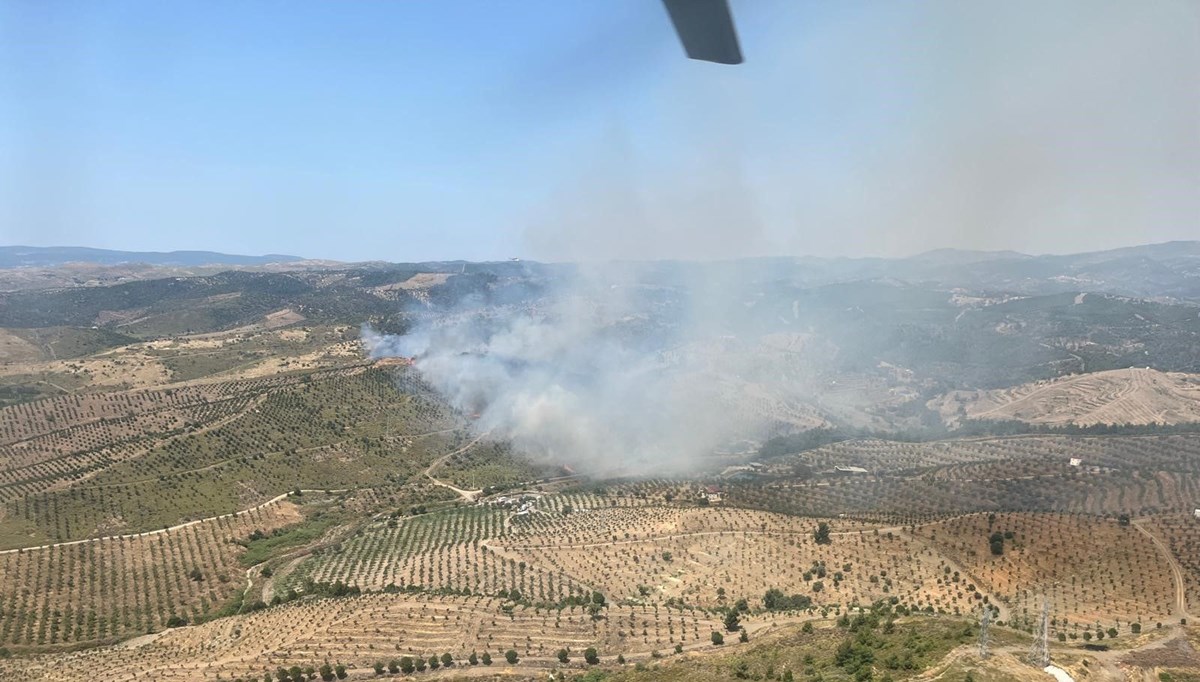 İzmir'de ormanlık alanda yangın