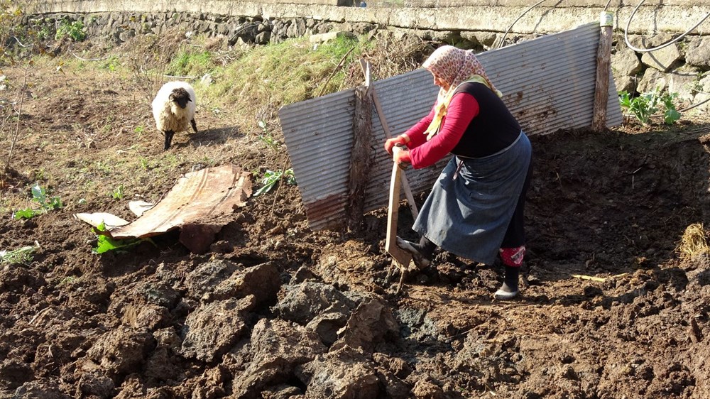 Karadeniz'in çalışkan kadınları: Köy toplansa evde tutamaz - 17