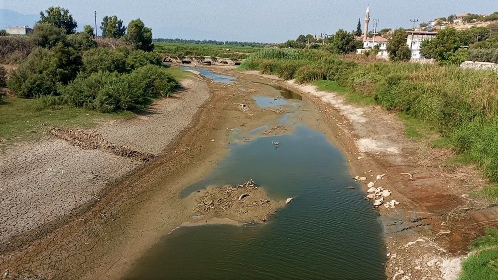 Ege'nin can damarı kuruyor: Balıklar oksijensizlikten öldü - 3