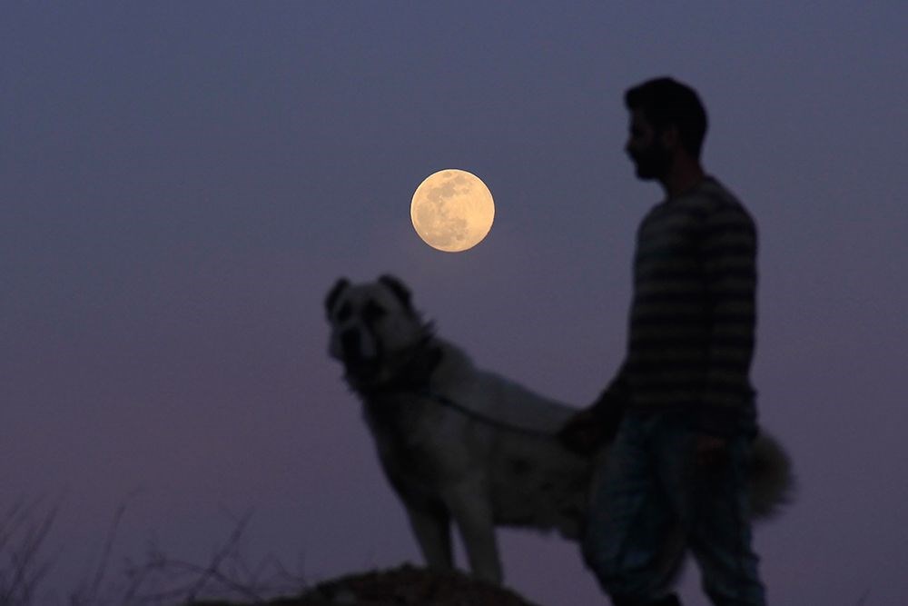 T�rkiye ve d�nyadan S�per Ay manzaralar�