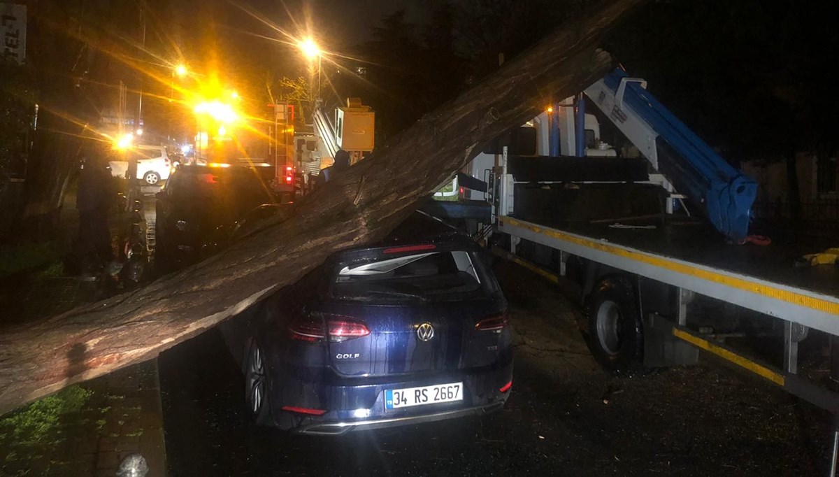 Etiler'de ağaç otomobilin üzerine devrildi