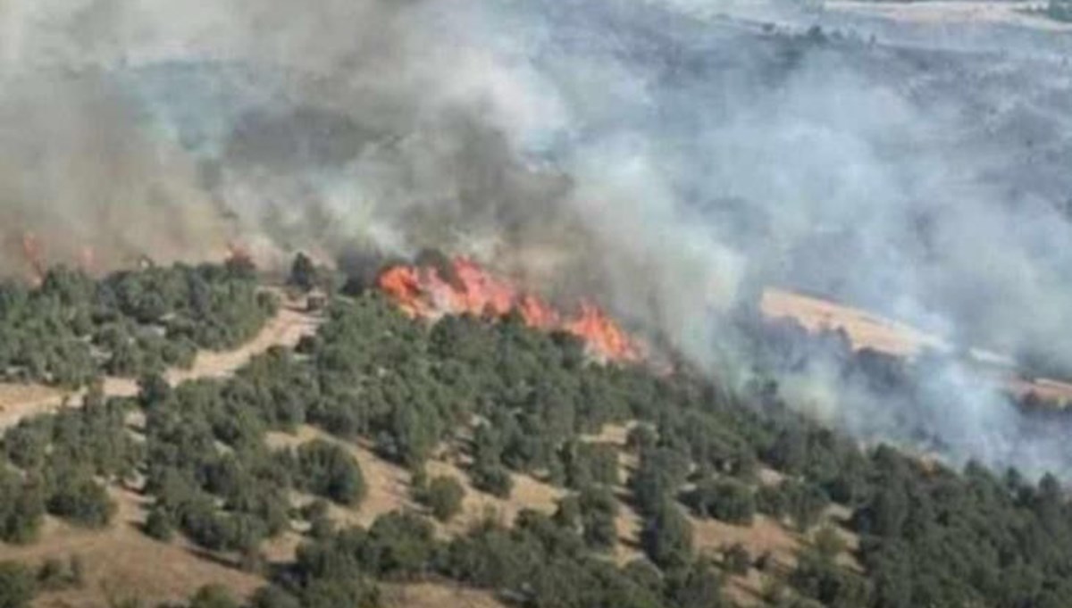 Şırnak'ta örtü yangını: Yaklaşık 15 dönüm alan zarar gördü