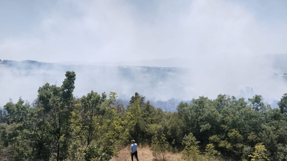 Yedi şehirde orman yangını: Sakarya'daki yangın büyüdü, Bilecik'e sıçradı - 14