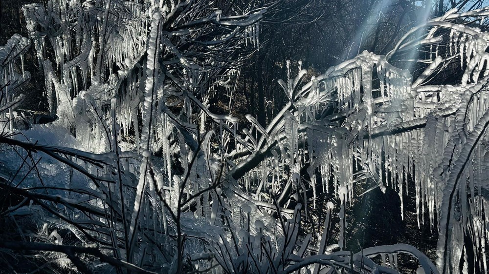 Bir ilde hava sıcaklığı eksi 10 dereceye düştü: Ağaçlarda buz sarkıtları oluştu - 2