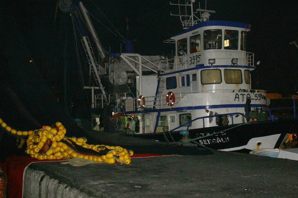 Balık avı artık yasak - 1