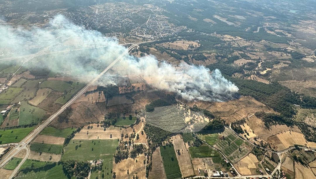 Çanakkale'de orman yangını: Havadan ve karadan müdahale sürüyor