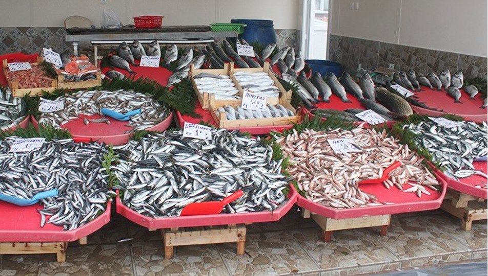 Balıkçı, komşu balıkçının 10 bin liralık çinekopunu çaldı!