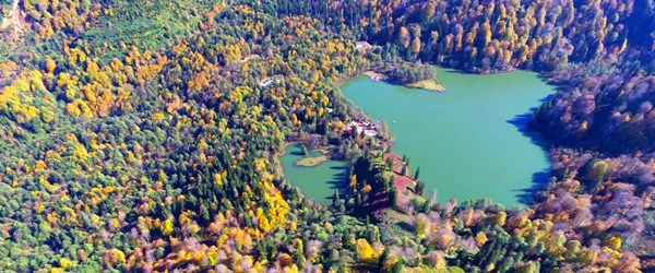 bordo rehber