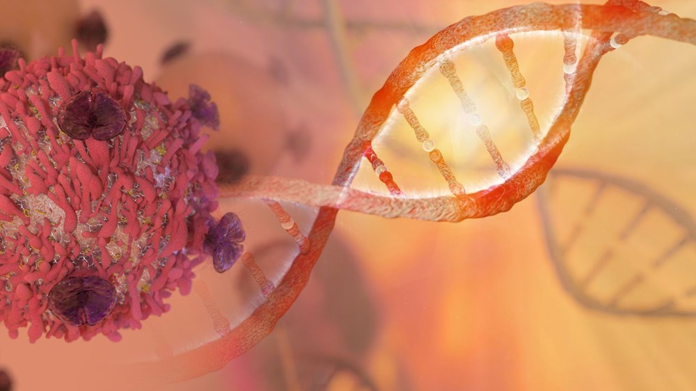 Devrim yaratacak çalışma: mRNA aşısıyla ilk kanser tedavisi - 10