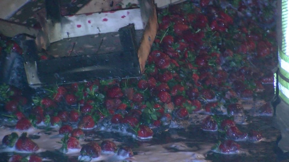 Alevler İçinde Kaybolan Tatlı Yük: Çilek TIR'ı Küllerinden Doğabilecek mi? 76 jR EAyz9 UG7ALvNl kU5Q