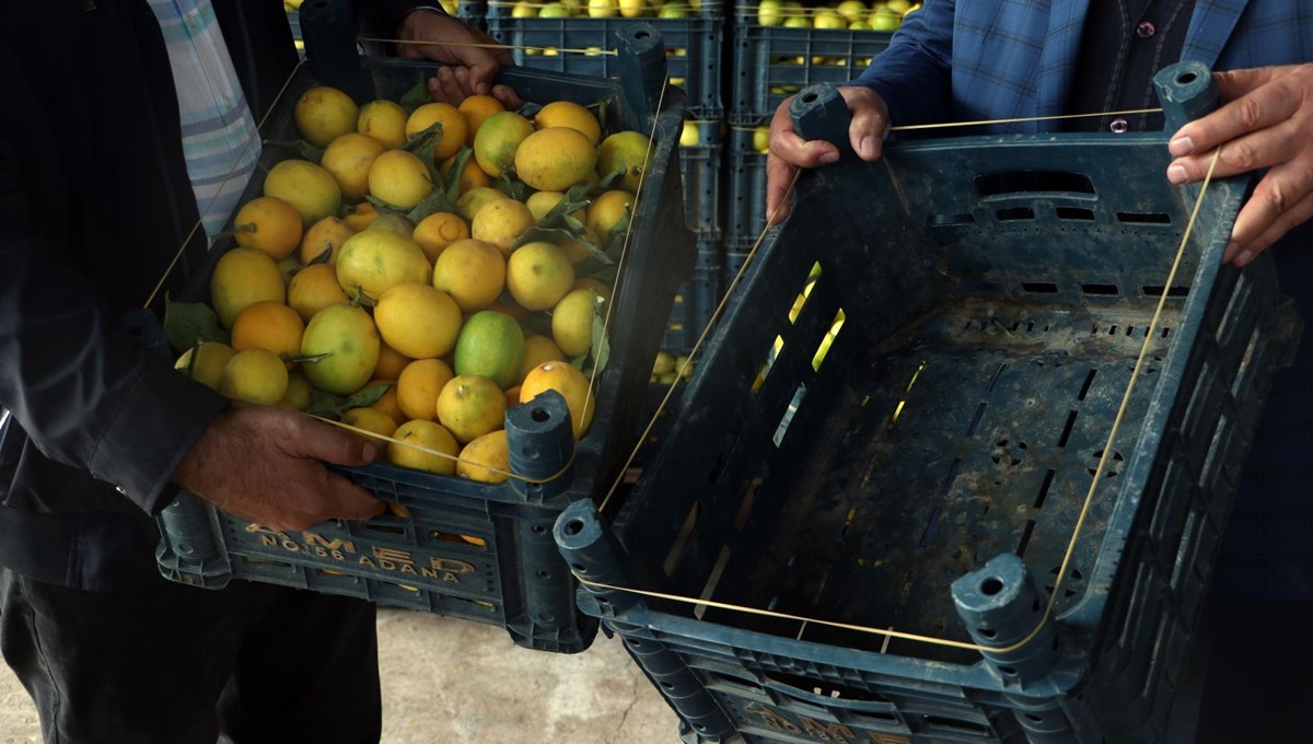Kasanın fiyatı limonu geçti