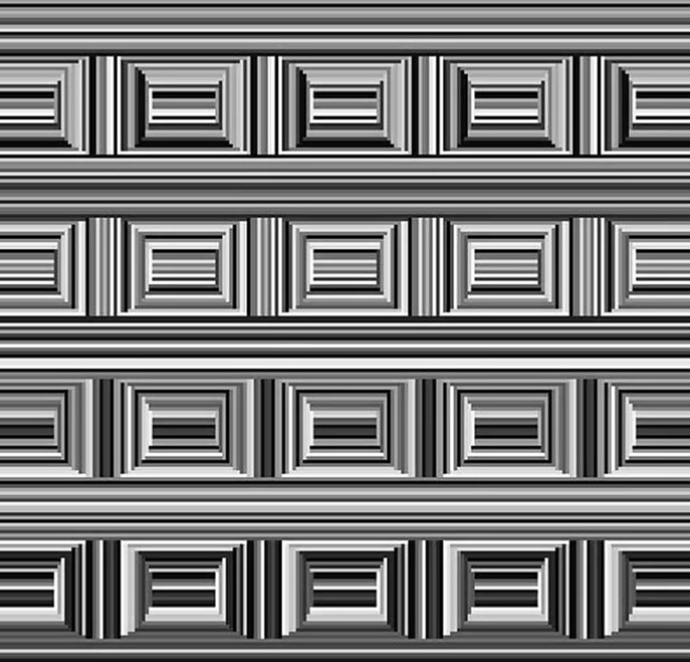 Bu görsel size kim olduğunuzu söylüyor: Resimde ilk önce hangi hayvanı gördünüz? - 4