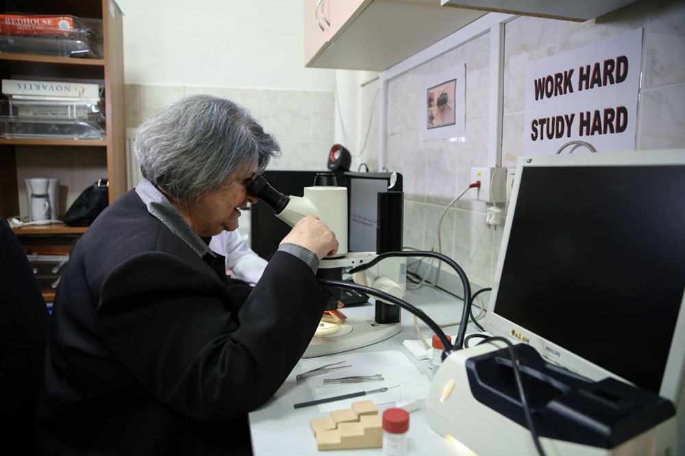 Dedektif
böcekler: Cesetlerin üzerinde bulunan sinekler, 20 vakayı aydınlattı - 3