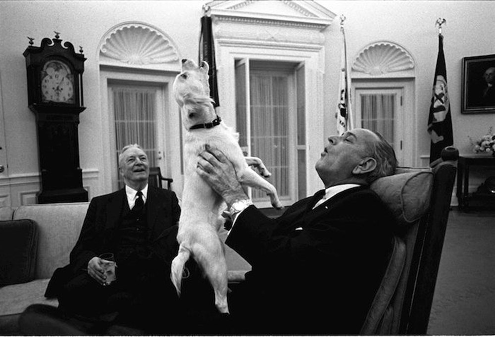 Joe Biden, Beyaz Saray’a sahiplendiği iki köpeği ile taşınacak (Beyaz