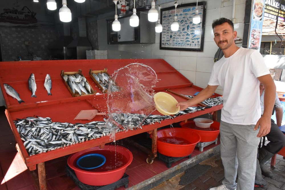 Bolluk fiyatlara yansıdı: Kilosu 200 liradan yoğun talep görüyor - 1