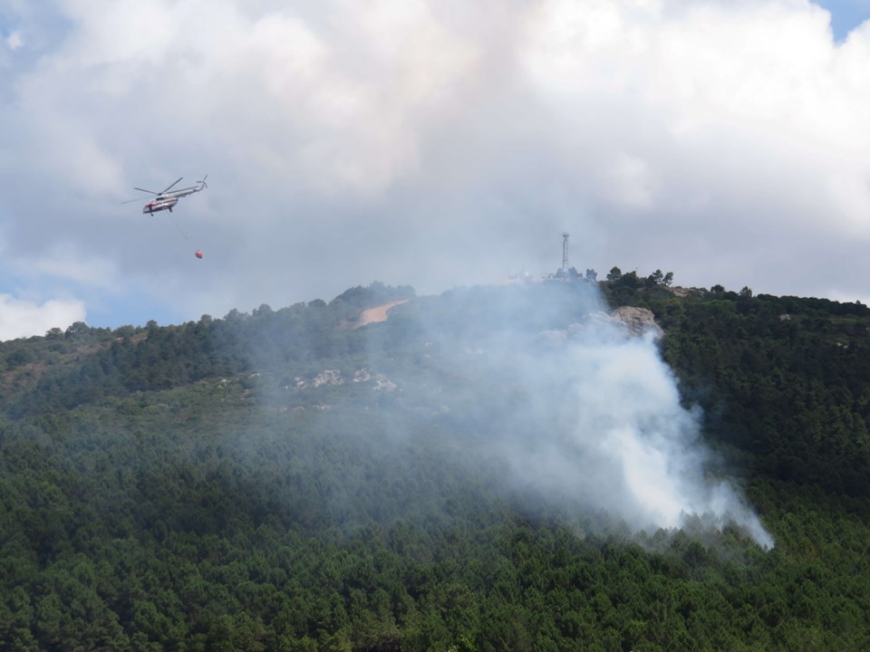 İstanbul'da orman yangını - 2