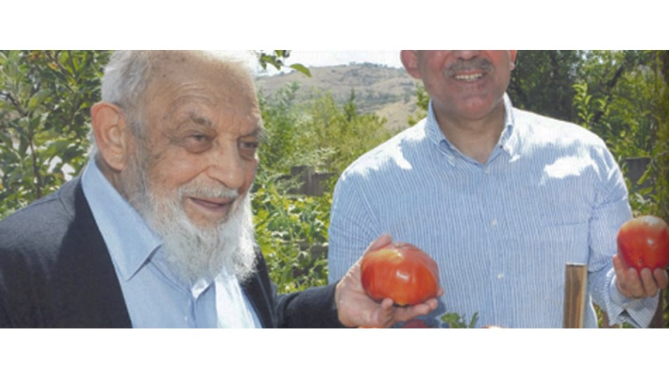 Gül: Gazoz satamadım beni okula gönderdiler