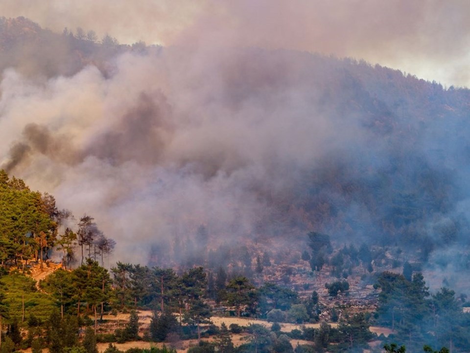 Türkiye'de son 10 yıldaki orman kaybının yüzde 61,5'i geçen yılki yangınlarda yaşandı - 2
