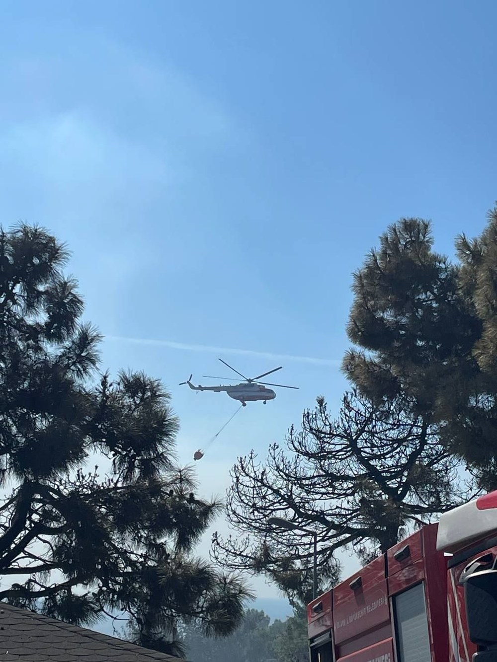 İstanbul Maltepe'de orman yangını - 13