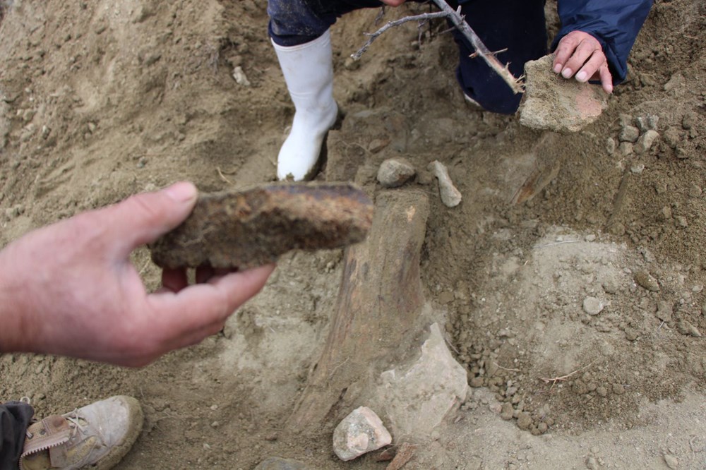 Amasya'da bulunan cisimler için mamut fosili heyecanı - 3