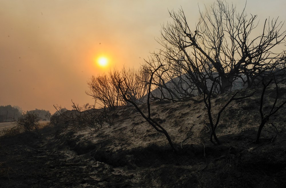 Akdeniz alev aldı: Yunanistan ve İtalya’da orman yangınları sürüyor - 8