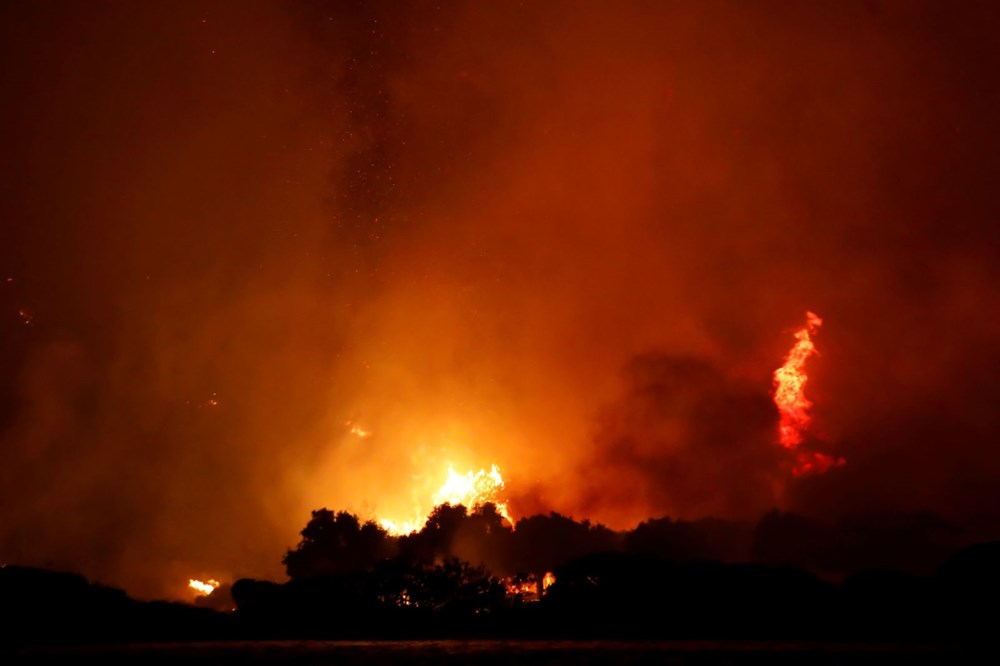Küresel ısınma ve orman yangınları arasında nasıl bir ilişki var? - 7