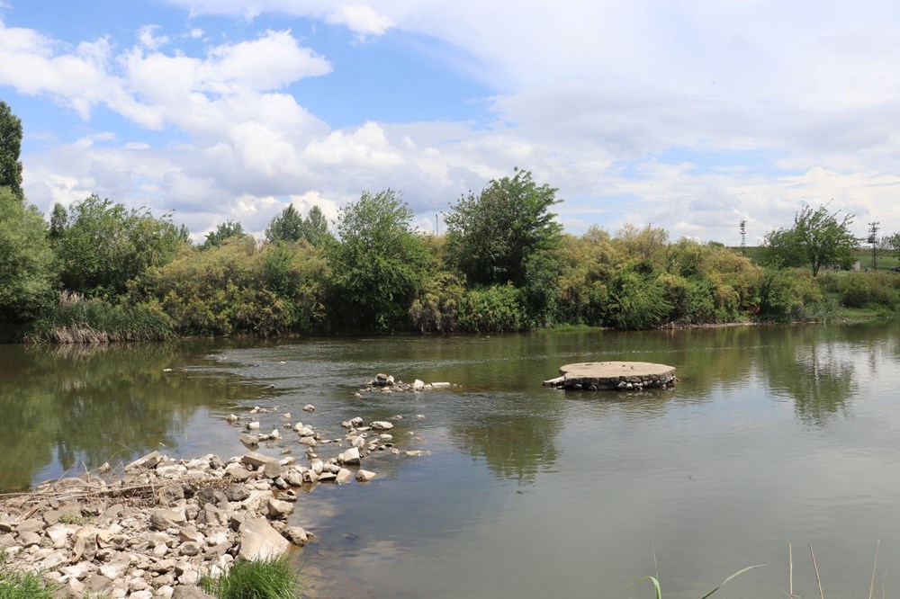 Dicle Nehri'nde korkutan görüntü: Çok sayıda ölü balık tespit edildi! Uzmandan ‘can suyu’ uyarısı - 1