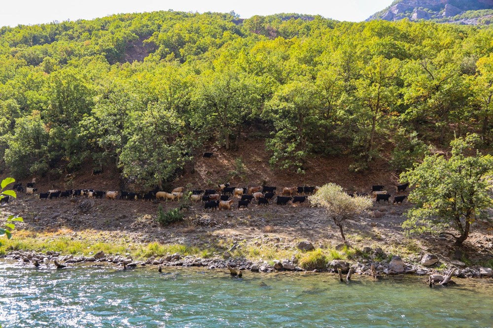 Amerika'nın ünlü Colorado Nehri'ne benzetiliyor: Tunceli'nin kartpostallık güzelliği Munzur Vadisi - 13