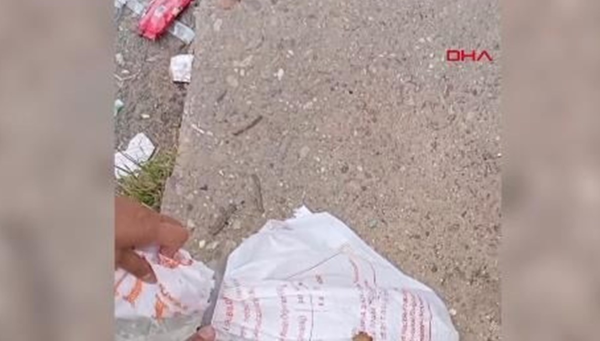 Kediyi çuvala koyup yol kenarına attılar Kediyi çuvala koyup yol kenarına attılar