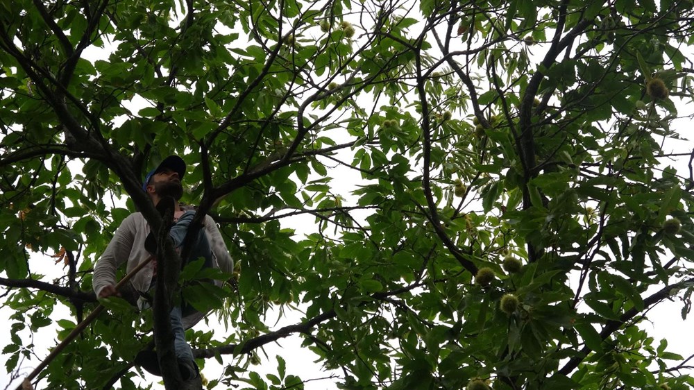 Herkes bu işi yapamıyor, günlüğü 400 lira - 2