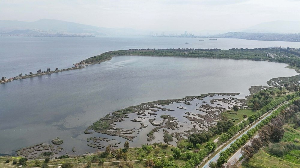 İzmir Körfezi için sevindiren haber - 5