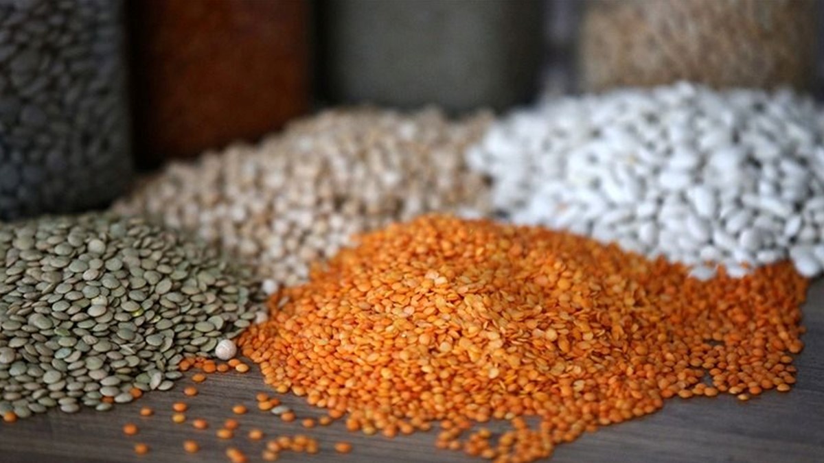 2024 hububat alım fiyatları belli oldu - Son Dakika Ekonomi Haberleri | Ntv Para