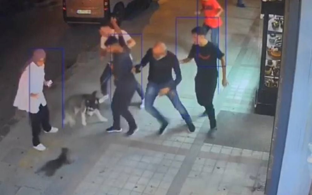 Bağcılar'da kedi, Sibirya kurduna saldırdı - 7