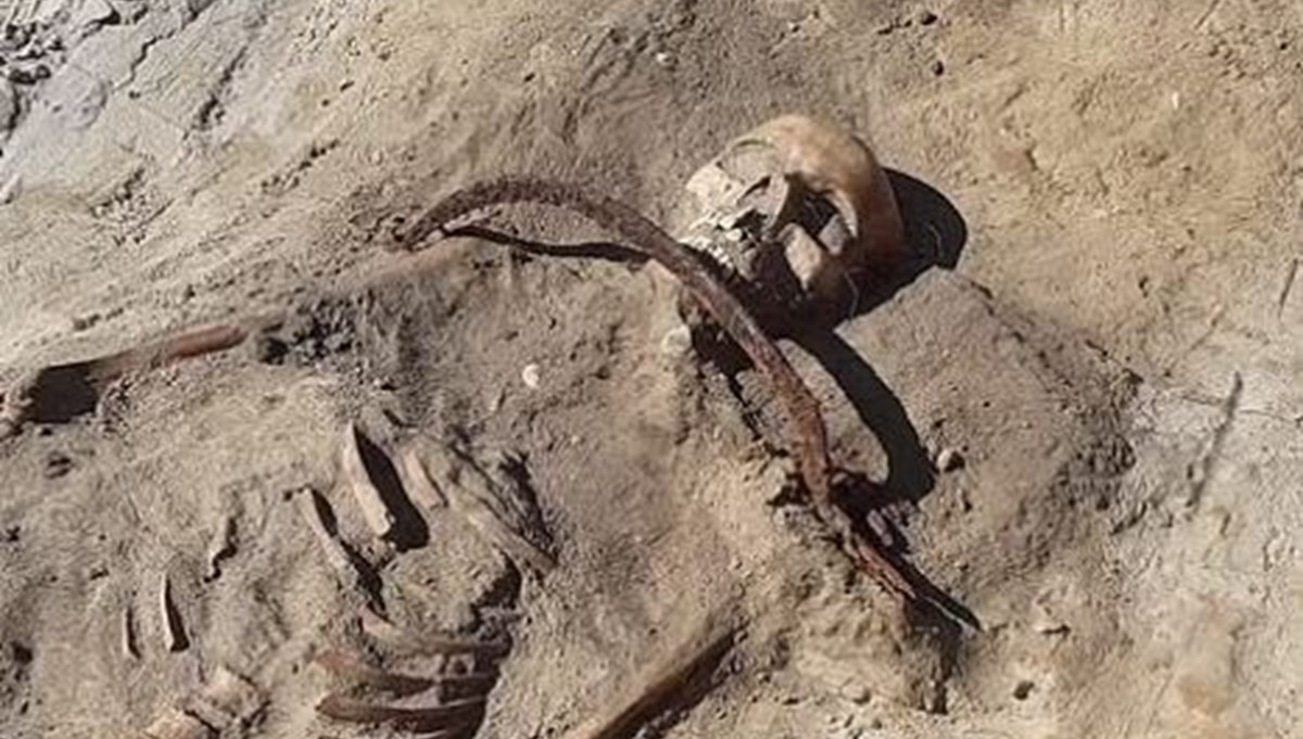 Polonya'da bin yıllık