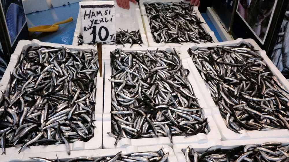 Karadeniz'de hamsi bolluğu: Fiyatlar düştü - 7