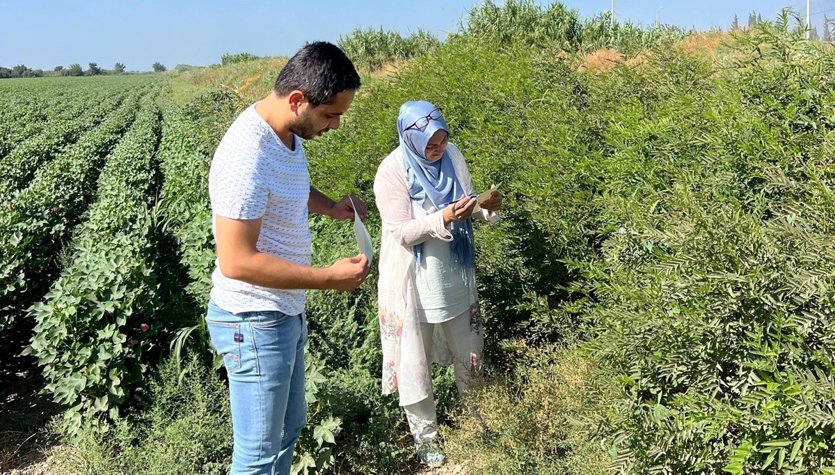 Söke’de ekipler sahaya indi: Tuzaklar kontrol edildi