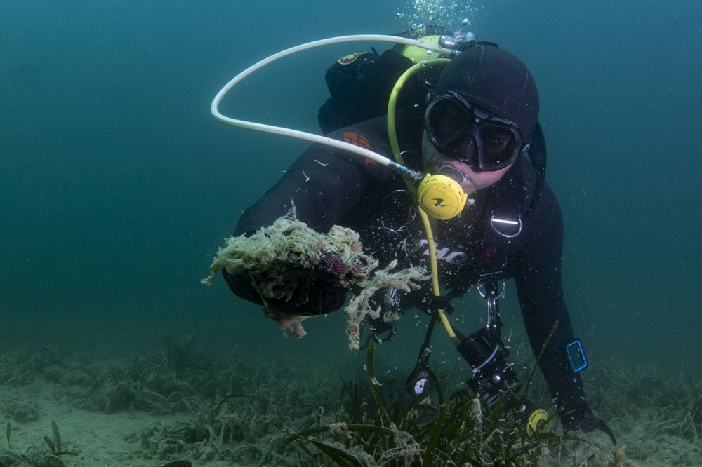Müsilaj, koruma altındaki mercanları tehdit ediyor - 4