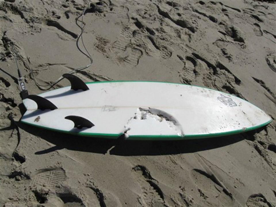 ABD'nin California eyaletinde geçtiğimiz hafta büyük beyaz köpekbalığı saldırısı sonucunda ölen Javier Solorio'nun sörf tahtası. 
