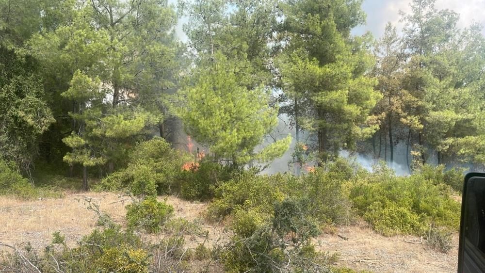 Adana’da 4 dönüm kızılçam ormanı yandı - 3
