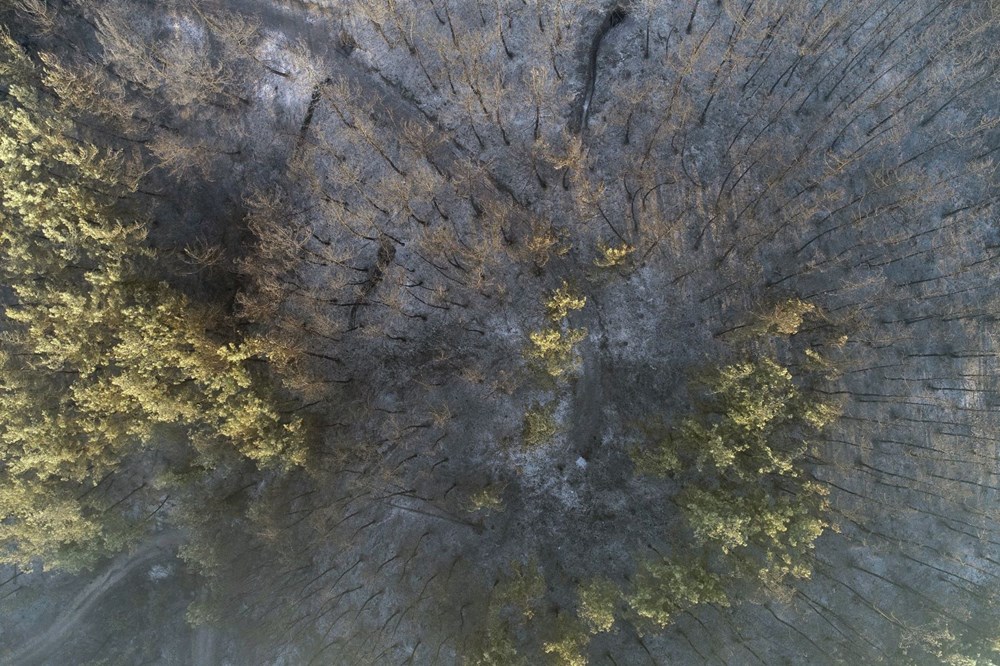 Adana Kozan'daki orman yangını 3. gününde - 9