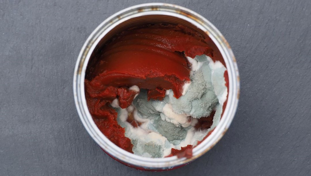 Küflü salça yenir mi? Meğer yıllardır yanlış biliyormuşuz: Avustralyalı doktor açıkladı